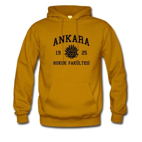 Ankara Üniversitesi Hukuk Fakültesi Model 1