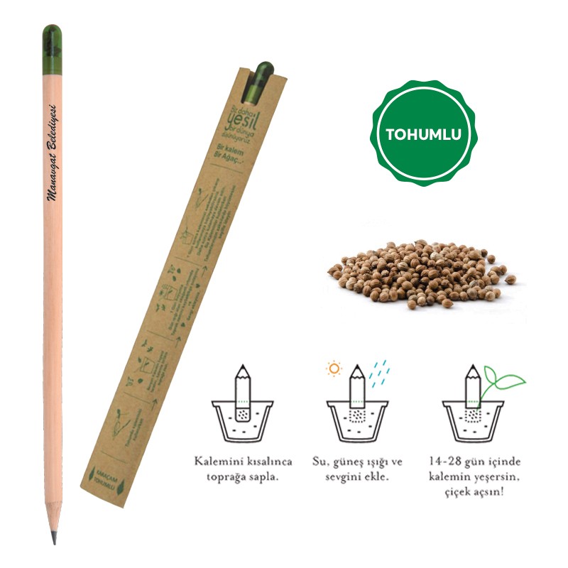 KP02124-0490 Tohumlu Naturel Kurşun Kalem