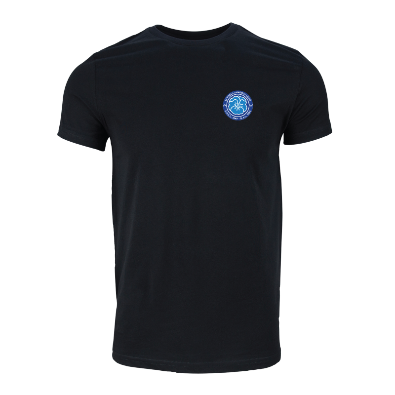 Beyoğlu Anadolu Lisesi Model 2